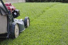 Spring Is In The Air – Grass Cutting Service