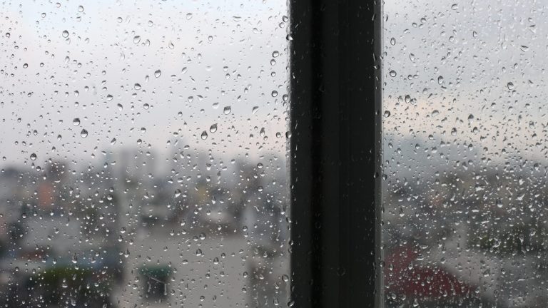 Damp & Mould Action and Awareness Week 2025