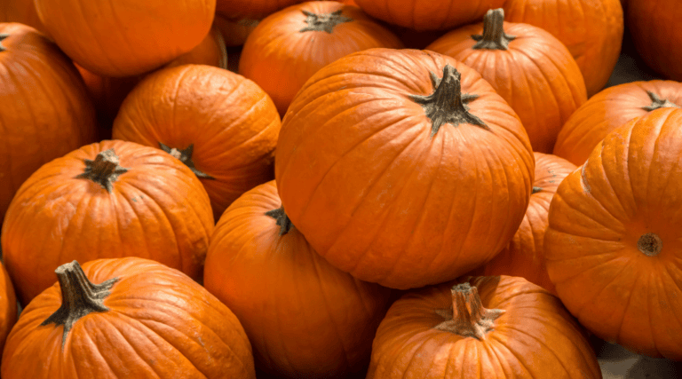 Halloween Meir Morning Café - Wednesday 28 October