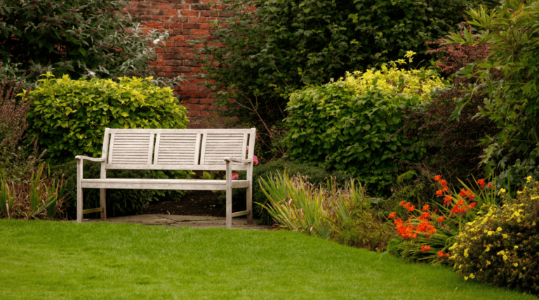 Community garden consultation event – Saturday 7 November