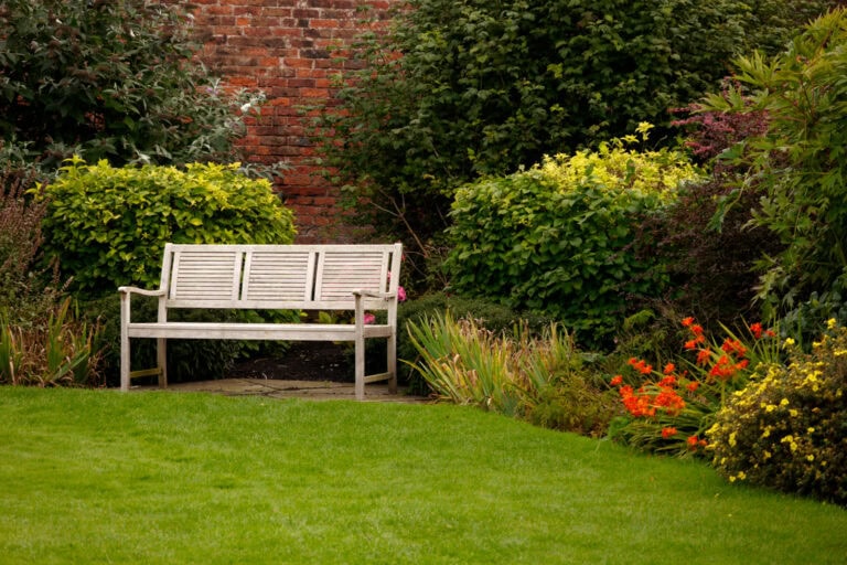 Community garden consultation event – Saturday 7 November